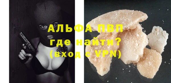 стаф Верея