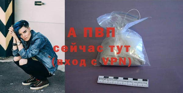 стаф Верея