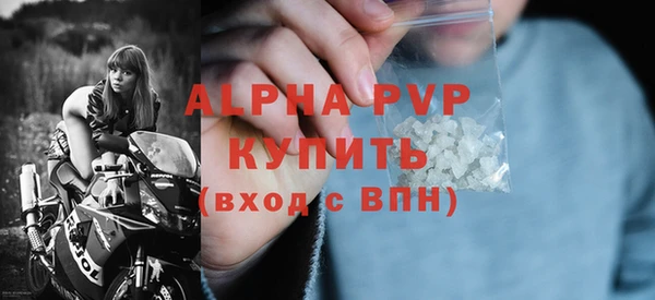 стаф Верея