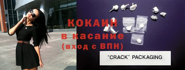стаф Верея