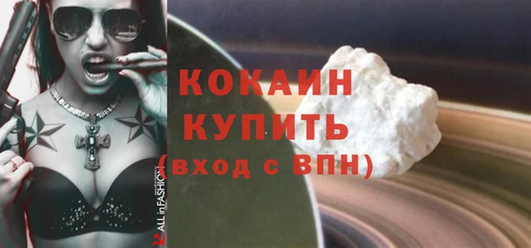 стаф Верея