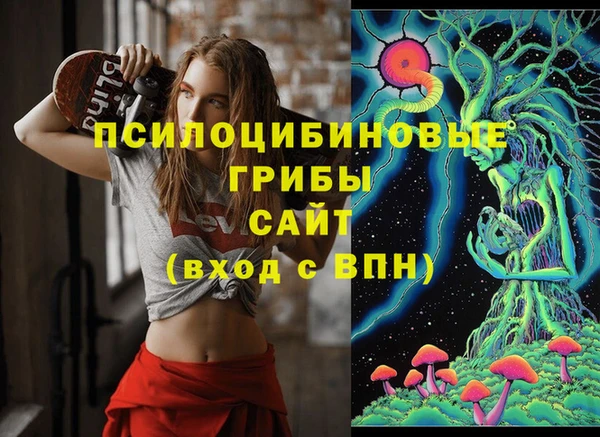 стаф Верея