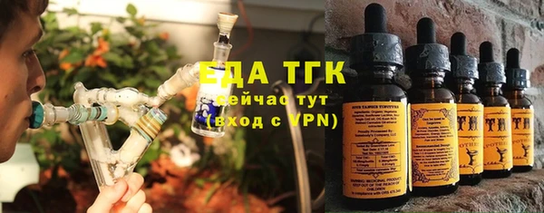 стаф Верея