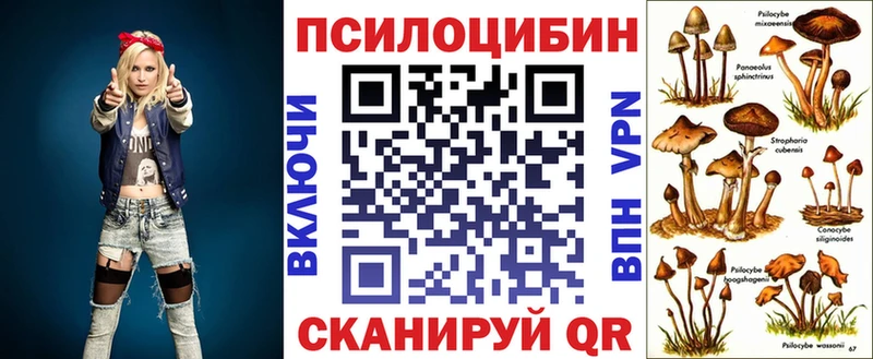 Псилоцибиновые грибы мухоморы  закладка  Новомичуринск 