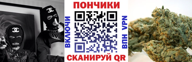 Канабис планчик  где найти   hydra ТОР  Новомичуринск 
